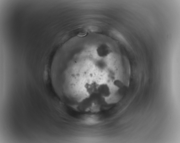 X0000089710169200707051708