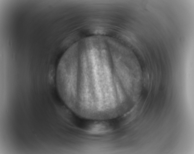 X0000089710175200707051708