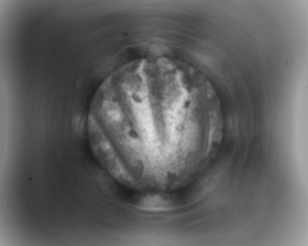 X0000089710177200707051708