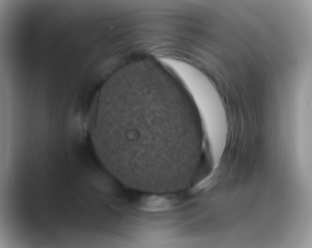 X0000089710180200707051708