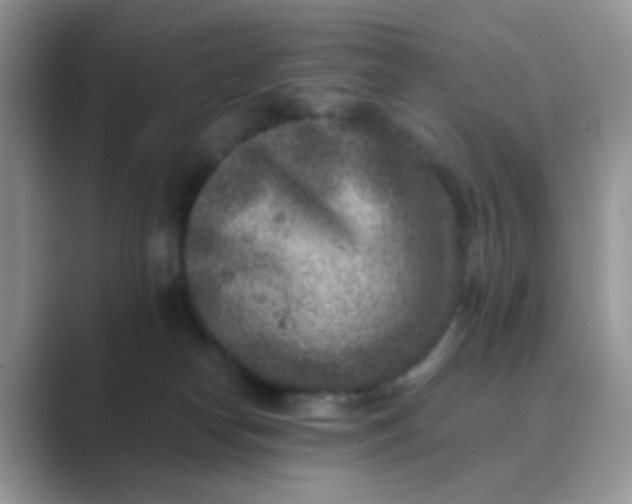 X0000089710182200707051708