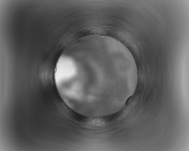 X0000089710185200707051708