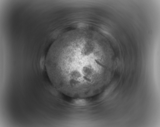 X0000089710189200707051708