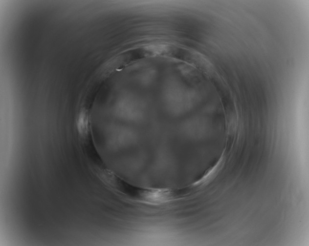 X0000089710191200707051708