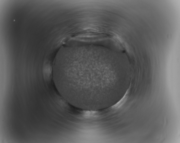 X0000089710192200707051708