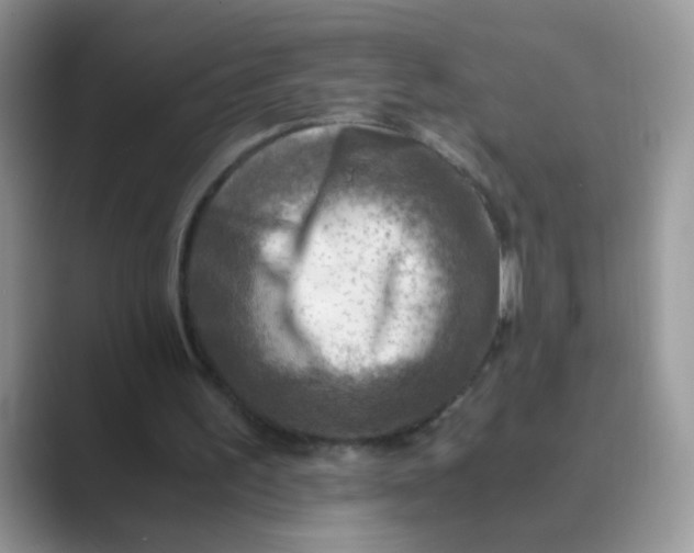 X0000089710195200707051708