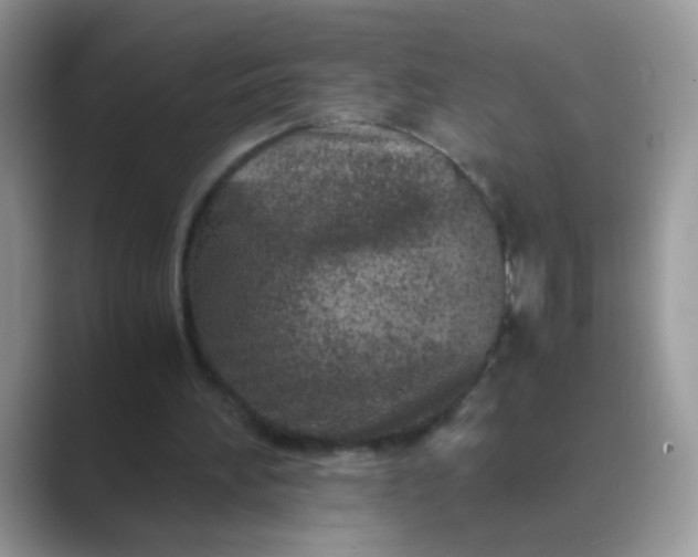 X0000089710196200707051708