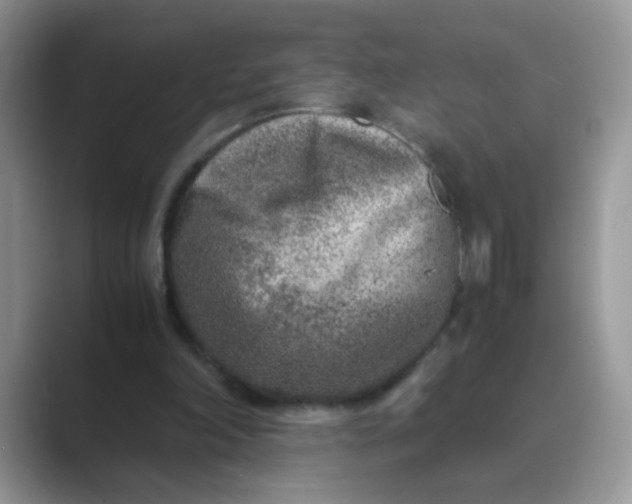 X0000089710198200707051708