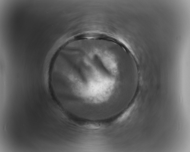 X0000089710199200707051708