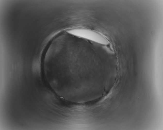 X0000089710200200707051708