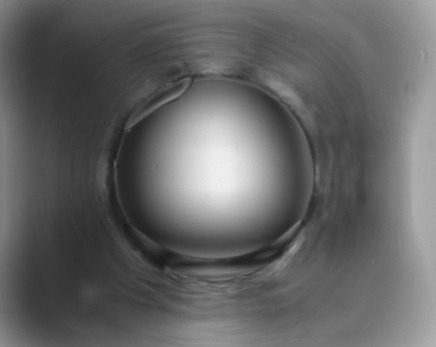 X0000089710201200707051707