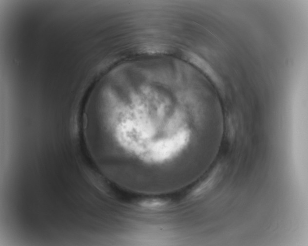 X0000089710203200707051707