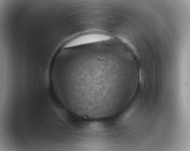 X0000089710204200707051707