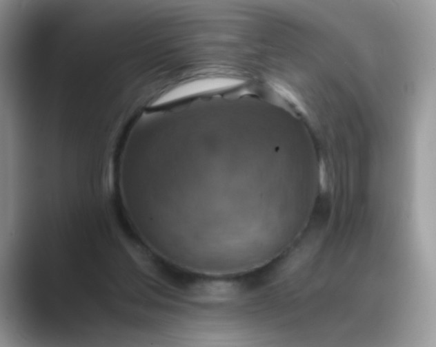 X0000089710205200707051707