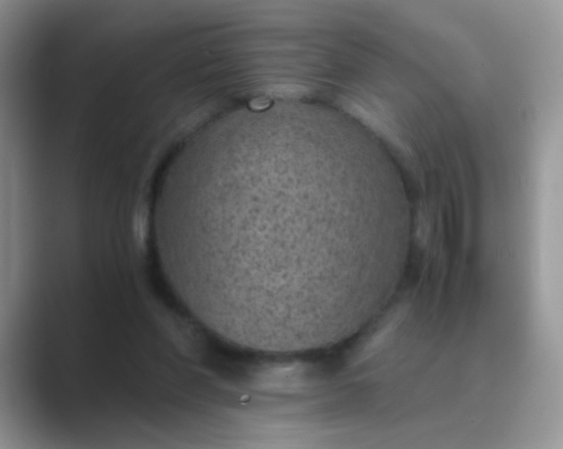 X0000089710206200707051707