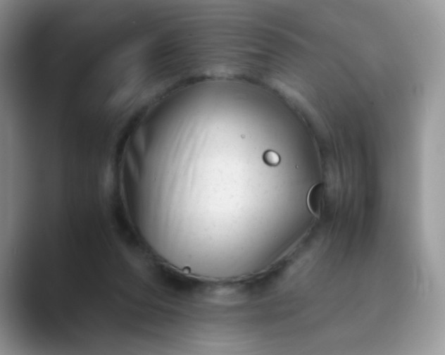 X0000089710208200707051707