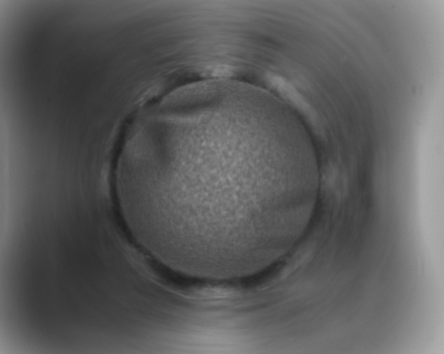 X0000089710209200707051707