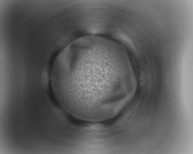 X0000089710210200707051707