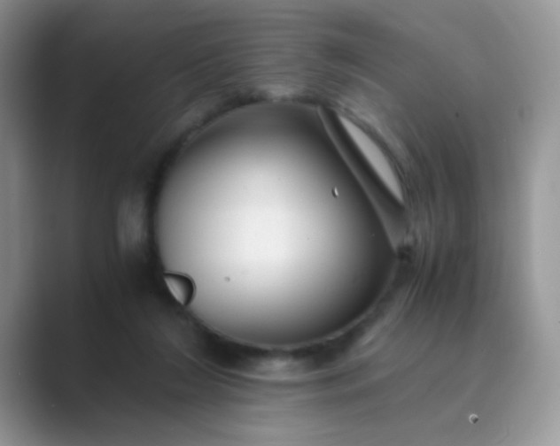 X0000089710212200707051707