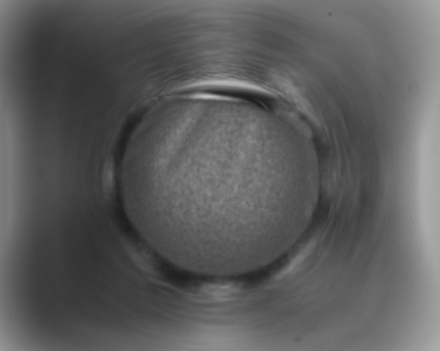 X0000089710213200707051707