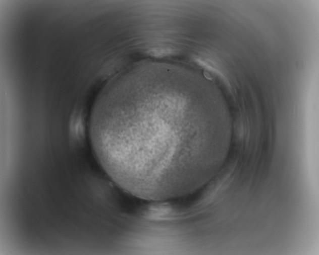 X0000089710214200707051707