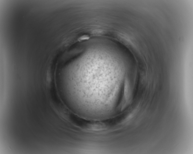 X0000089710215200707051707