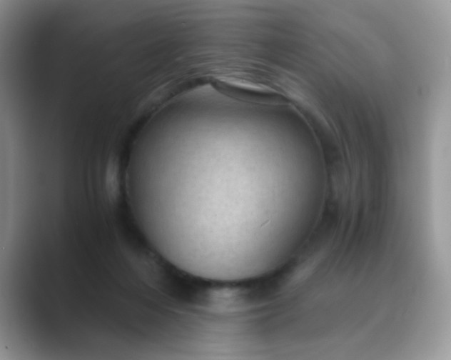 X0000089710216200707051707