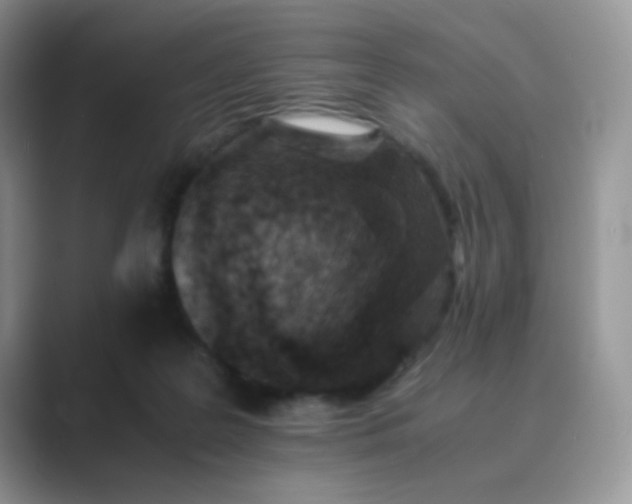 X0000089710219200707051707