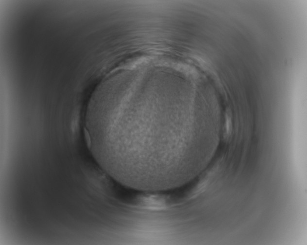 X0000089710221200707051707