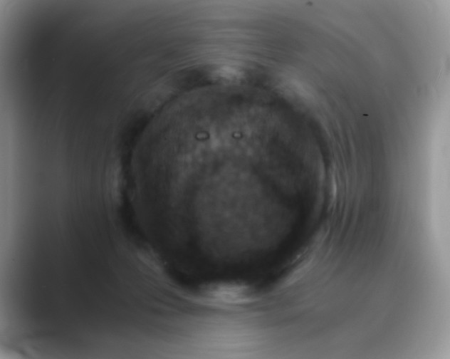 X0000089710223200707051707