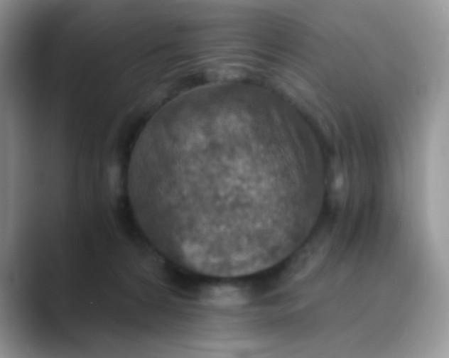 X0000089710224200707051707