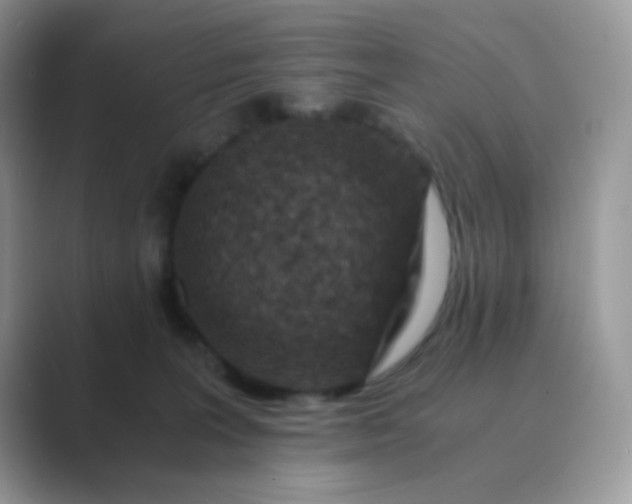 X0000089710227200707051707