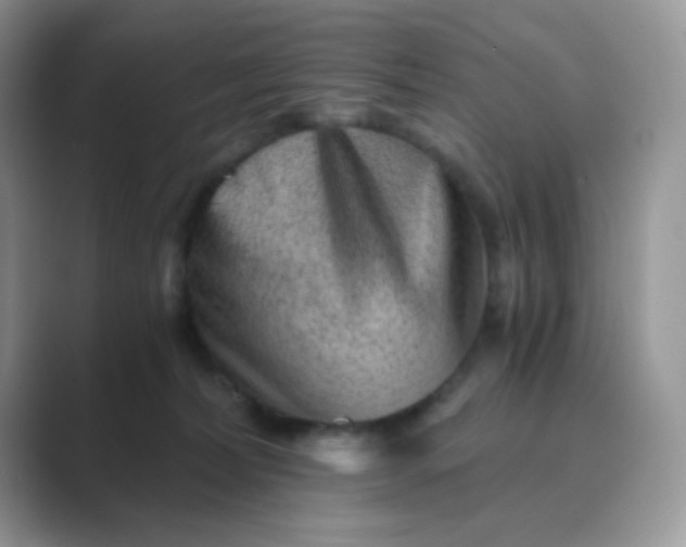 X0000089710228200707051707