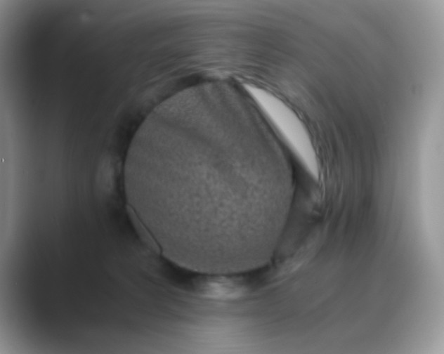 X0000089710229200707051707