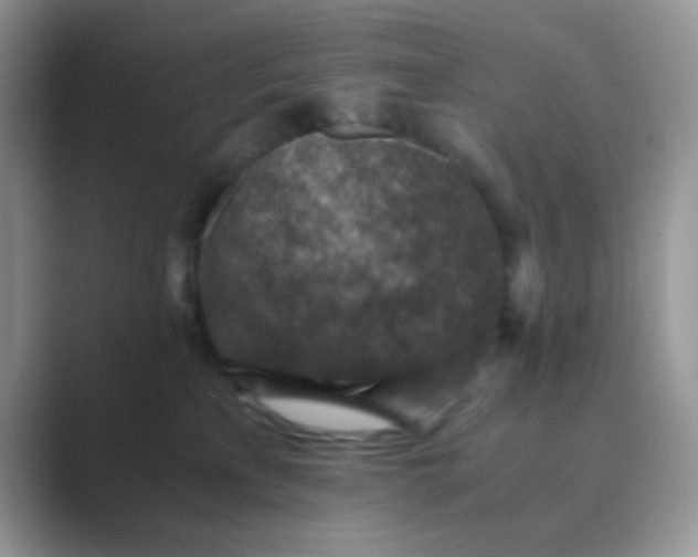 X0000089710233200707051707