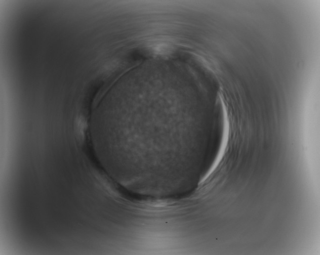 X0000089710235200707051707