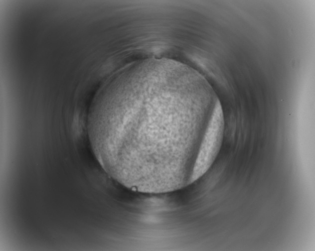 X0000089710236200707051707