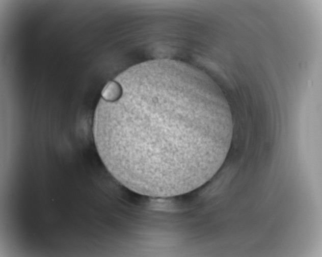 X0000089710240200707051707