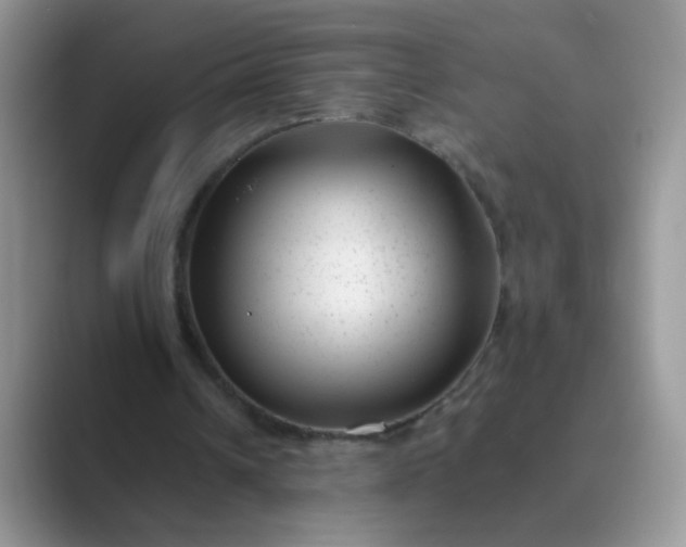 X0000089710242200707051706