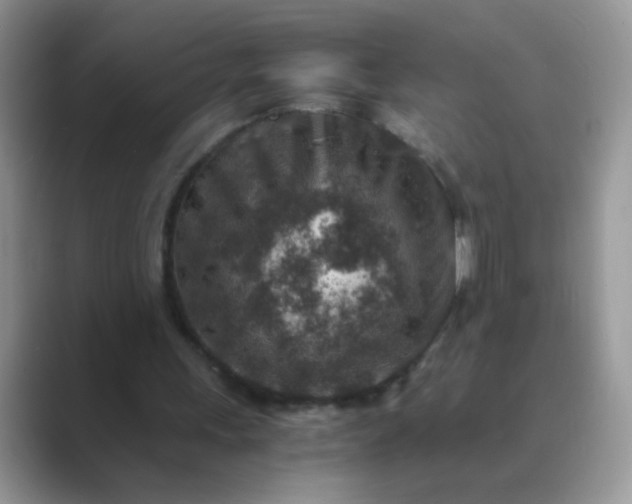 X0000089710243200707051706