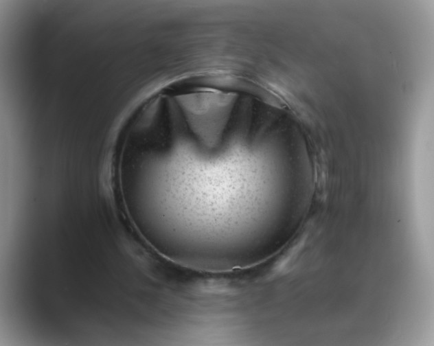 X0000089710244200707051707