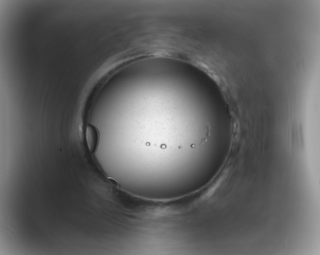 X0000089710246200707051707