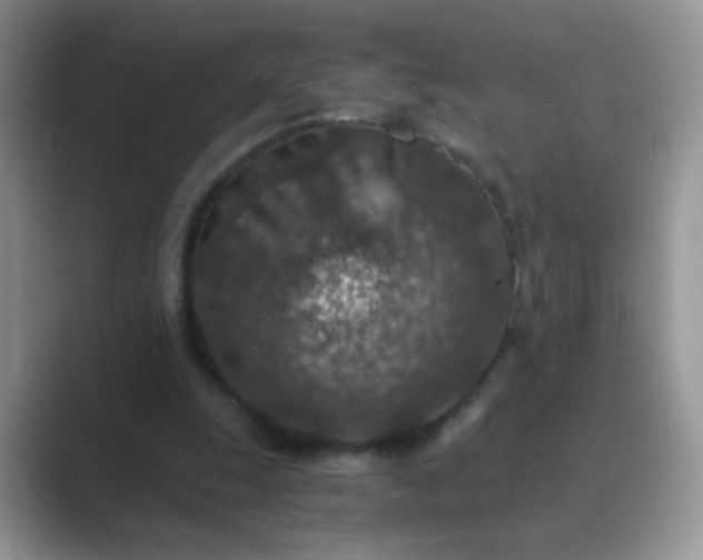 X0000089710247200707051707