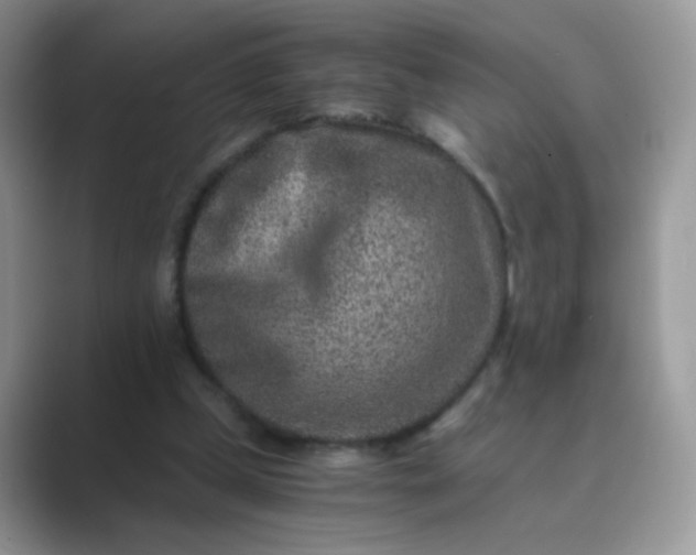 X0000089710249200707051707