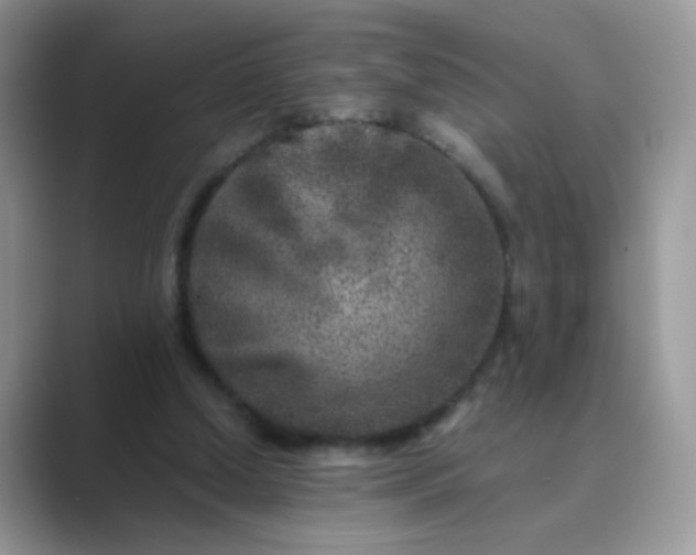 X0000089710250200707051707