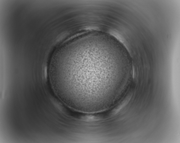 X0000089710253200707051707