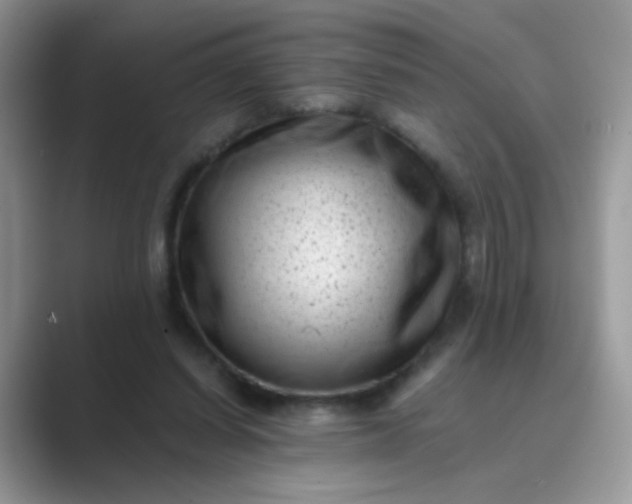 X0000089710254200707051707