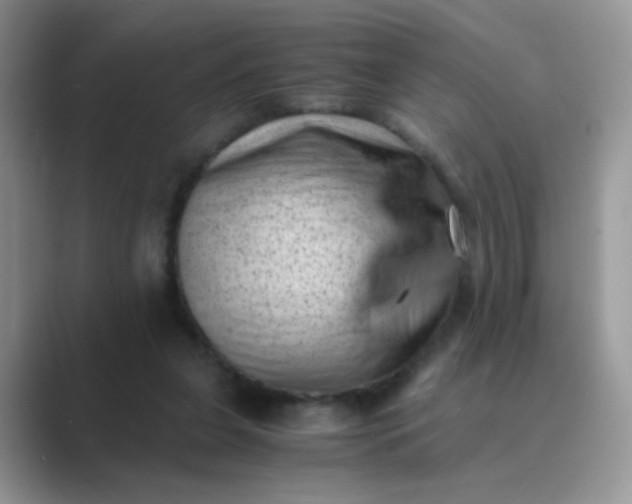 X0000089710255200707051707