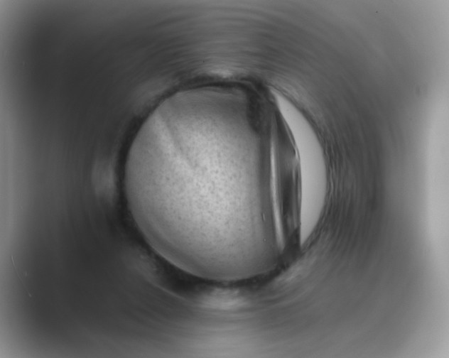 X0000089710256200707051707