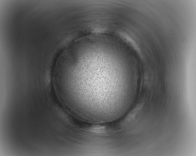 X0000089710257200707051707